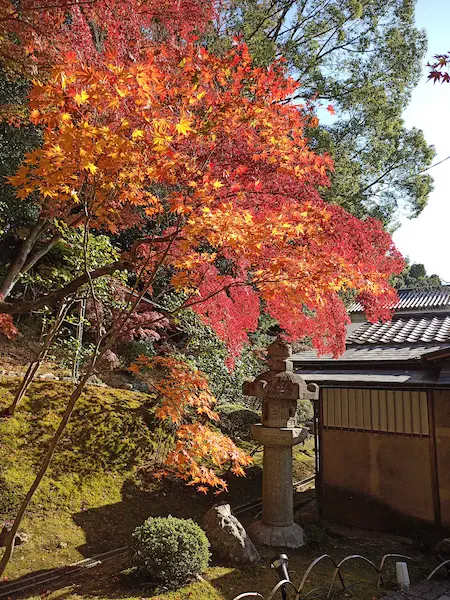 Konkai Komyoji Temple (金戒光明寺)