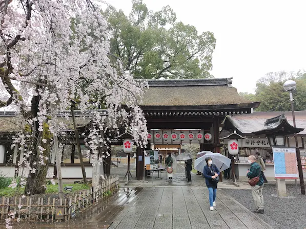 Hirano Jinja Shrine (平野神社)