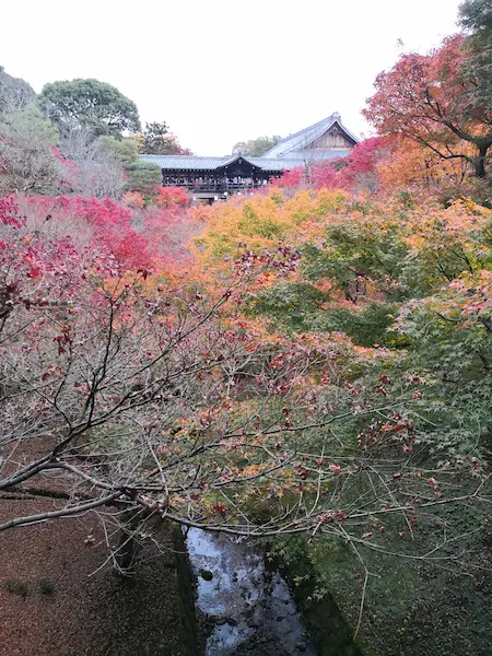 Tofukuji Temple (東福寺)