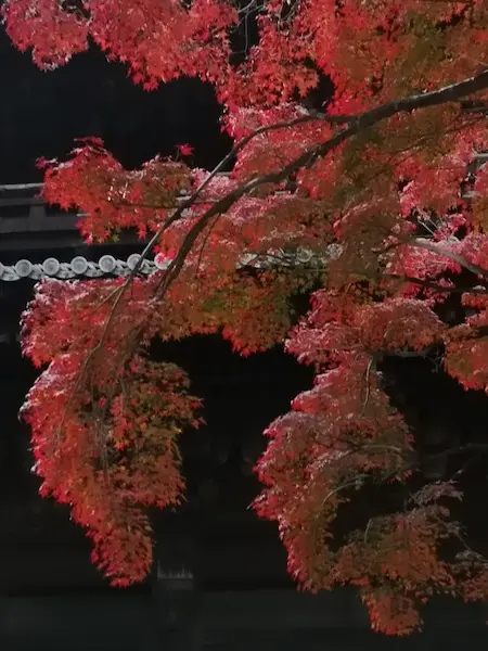 Nanzenji in autumn