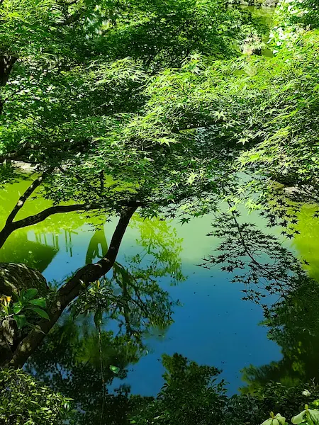 Ryosoku-in Garden