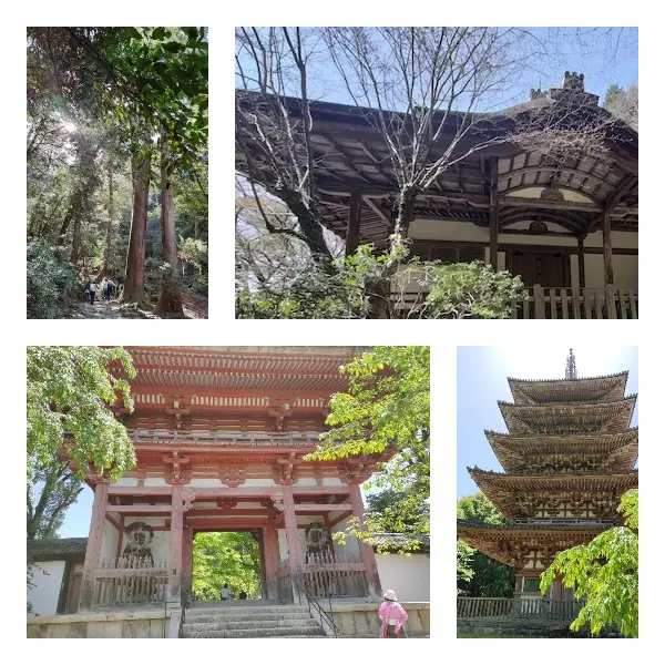 Daigoji Temple hike Shimo- and Kami-Daigo Hiking
