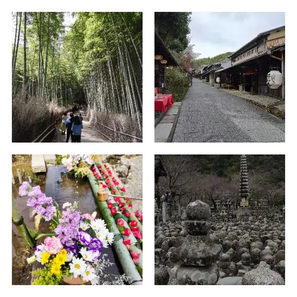 Arashiyama to Saga walking tour