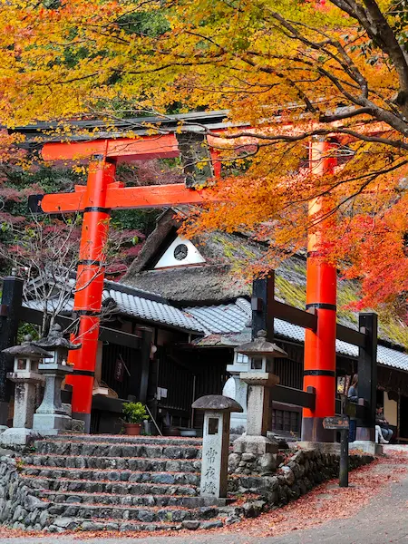 First trii gate of Atago Jinja Shrine