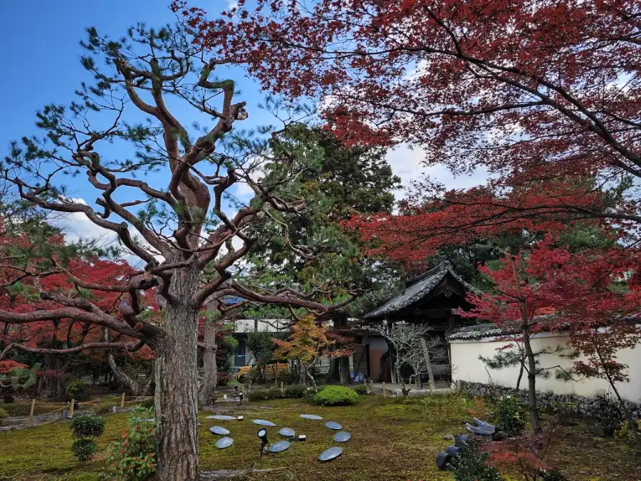 Rokuouin Garden