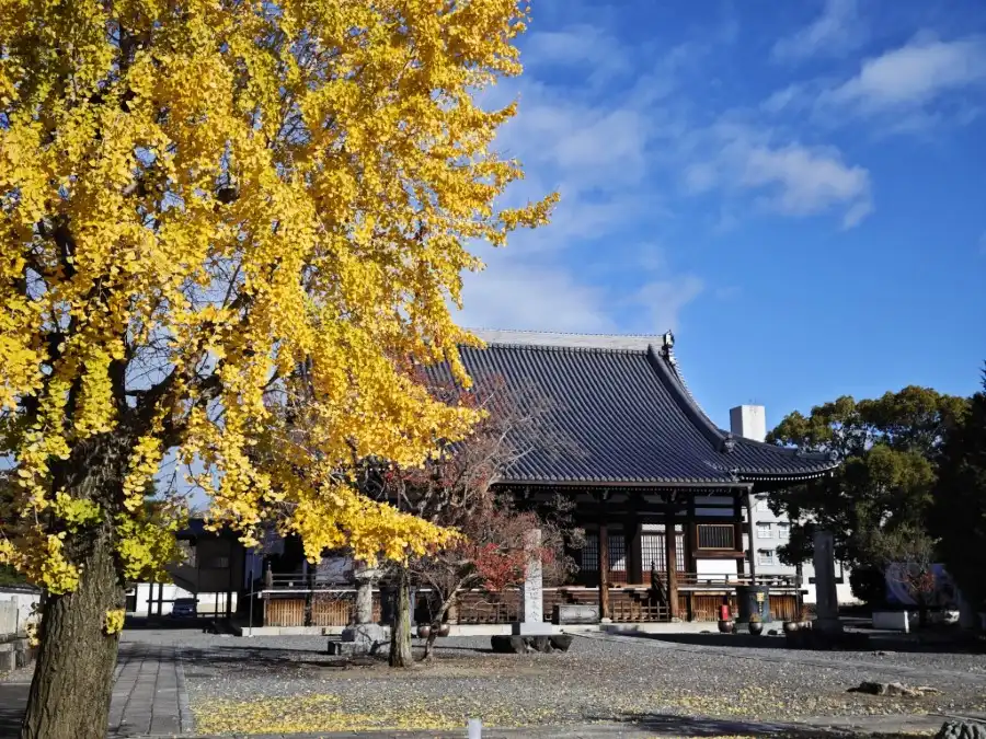 Myokakuji main hall