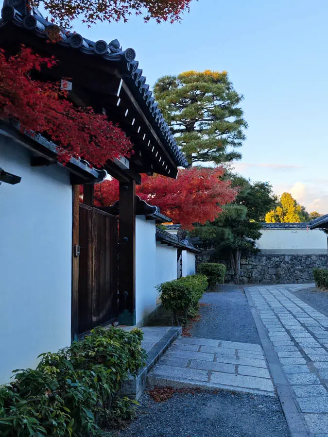 walking a quiet Zen temple, Executive guide service in Kyoto