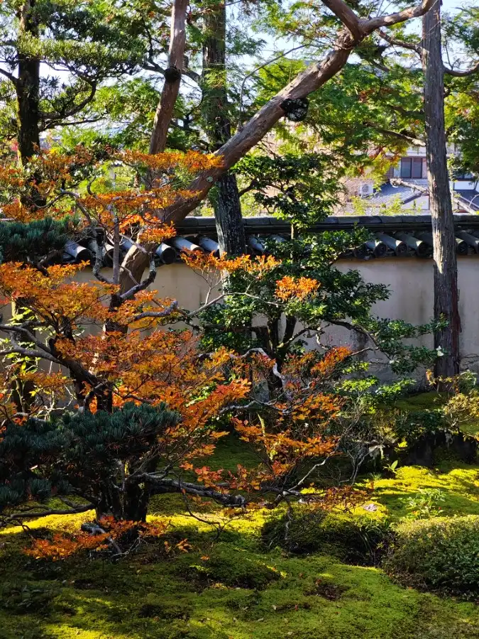 Daiou-in garden