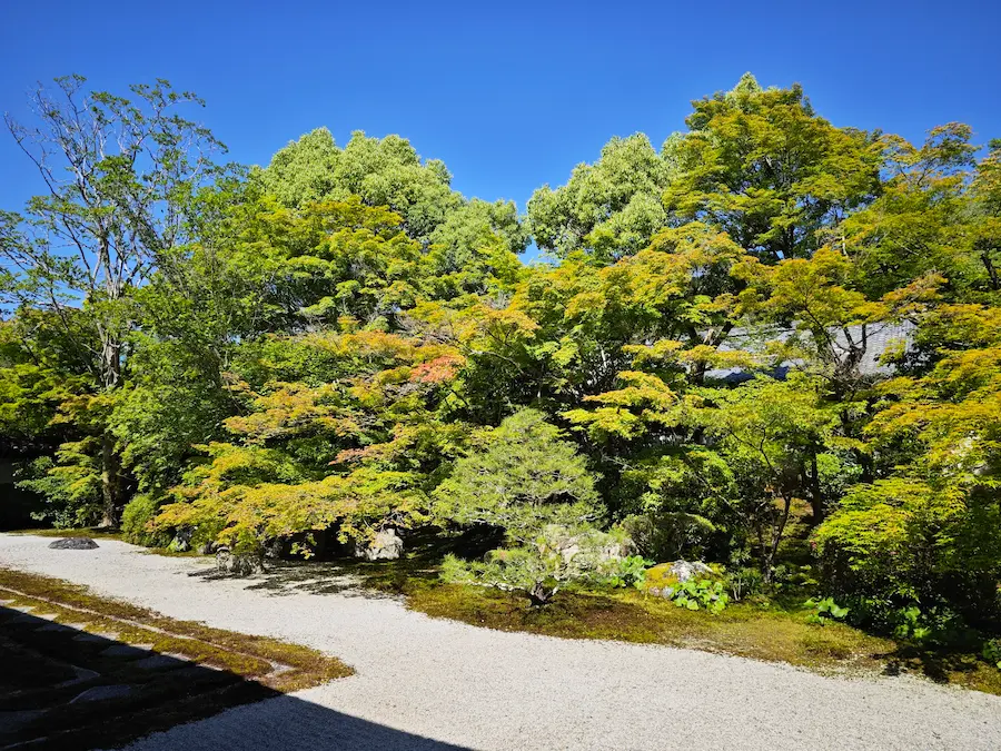 Tenju-an dry garden