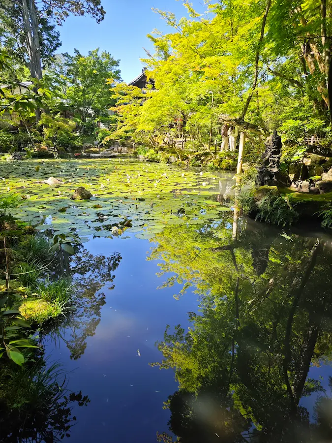 Tenju-an garden
