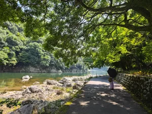 Tree-covered path to Senkoji