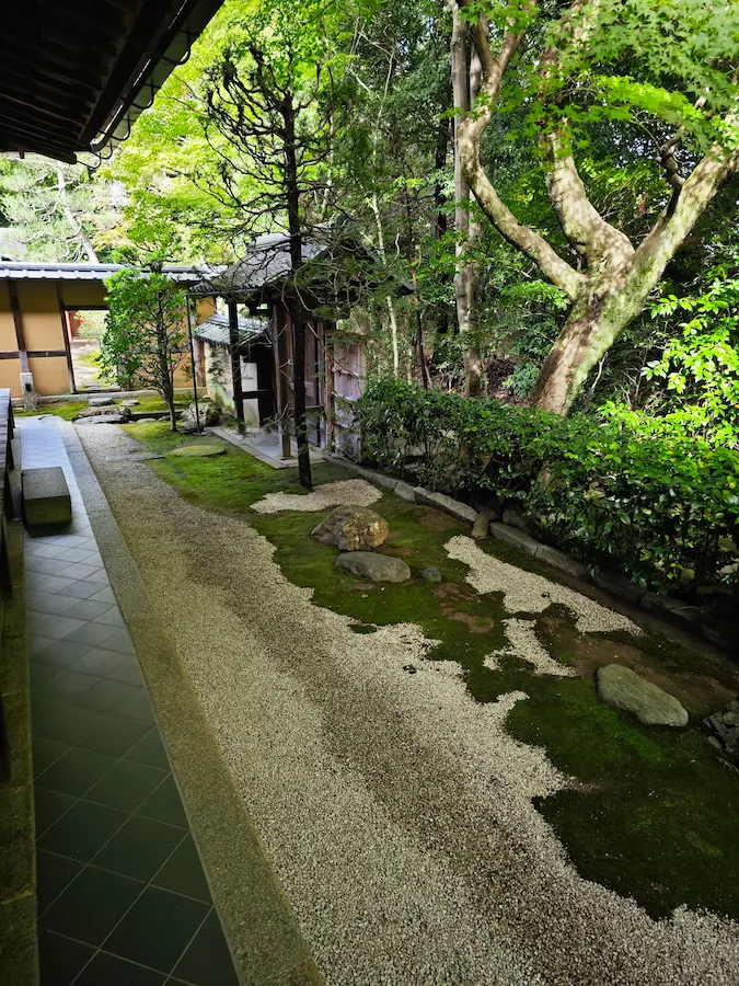 Garden of 7-5-3, Shinjuan