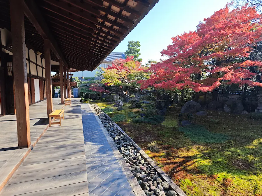 garden in Daruma Dera